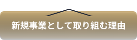 新規事業として取り組む理由
